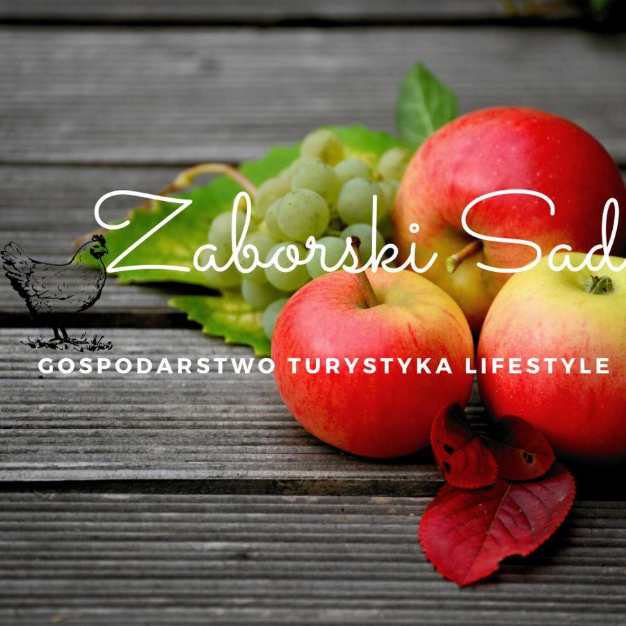 Gospodarstwo Zaborski Sad Zabor