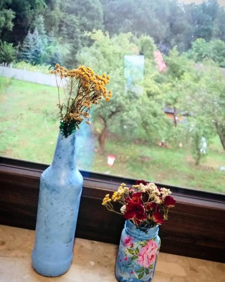 Gospodarstwo Zaborski Sad Farm stay Zabor