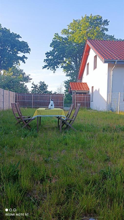 Gospodarstwo Zaborski Sad *