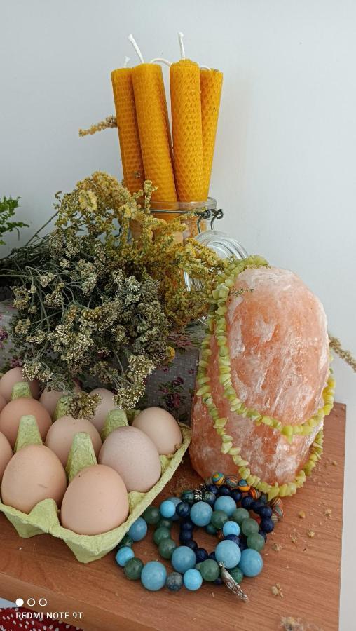 Farm stay Gospodarstwo Zaborski Sad Zabor