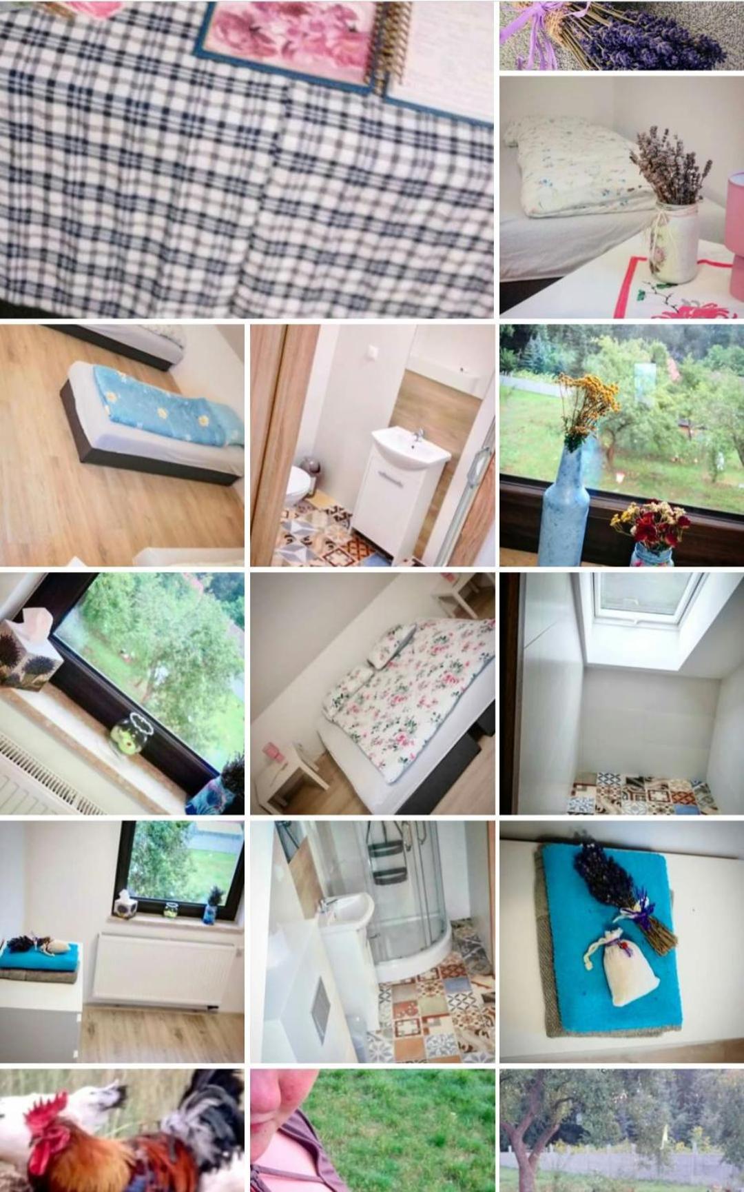 Gospodarstwo Zaborski Sad Farm stay