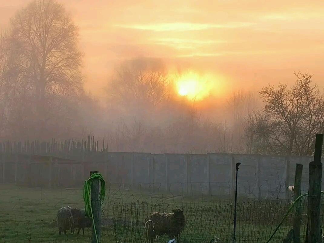Gospodarstwo Zaborski Sad Farm stay