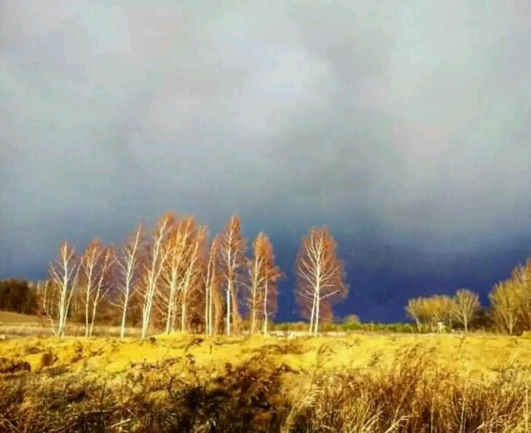 Gospodarstwo Zaborski Sad Farm stay *
