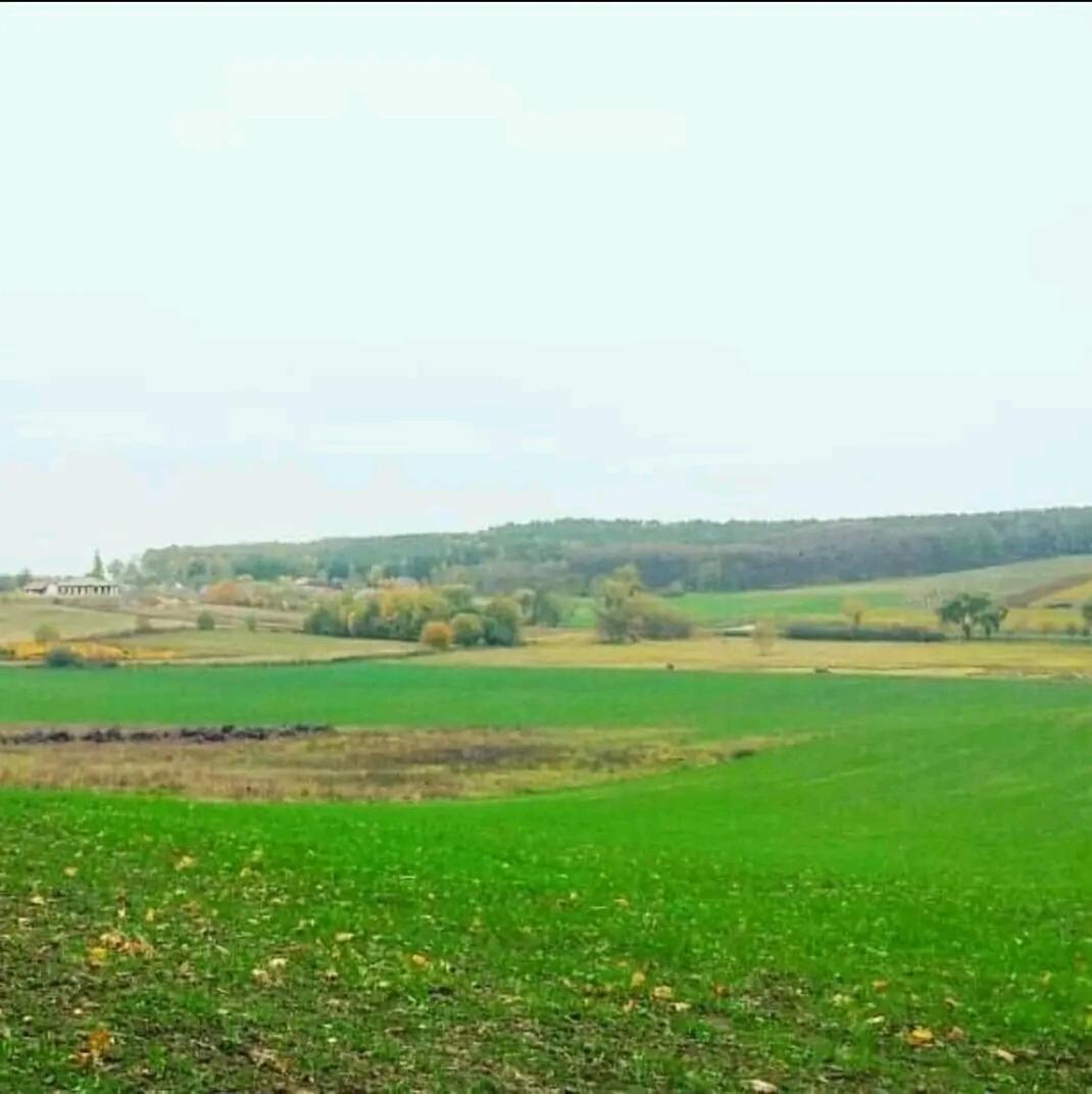 Farm stay Gospodarstwo Zaborski Sad *