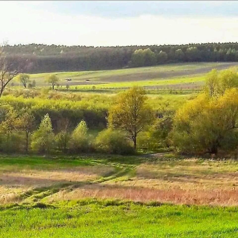 Gospodarstwo Zaborski Sad Farm stay *